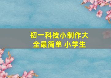 初一科技小制作大全最简单 小学生